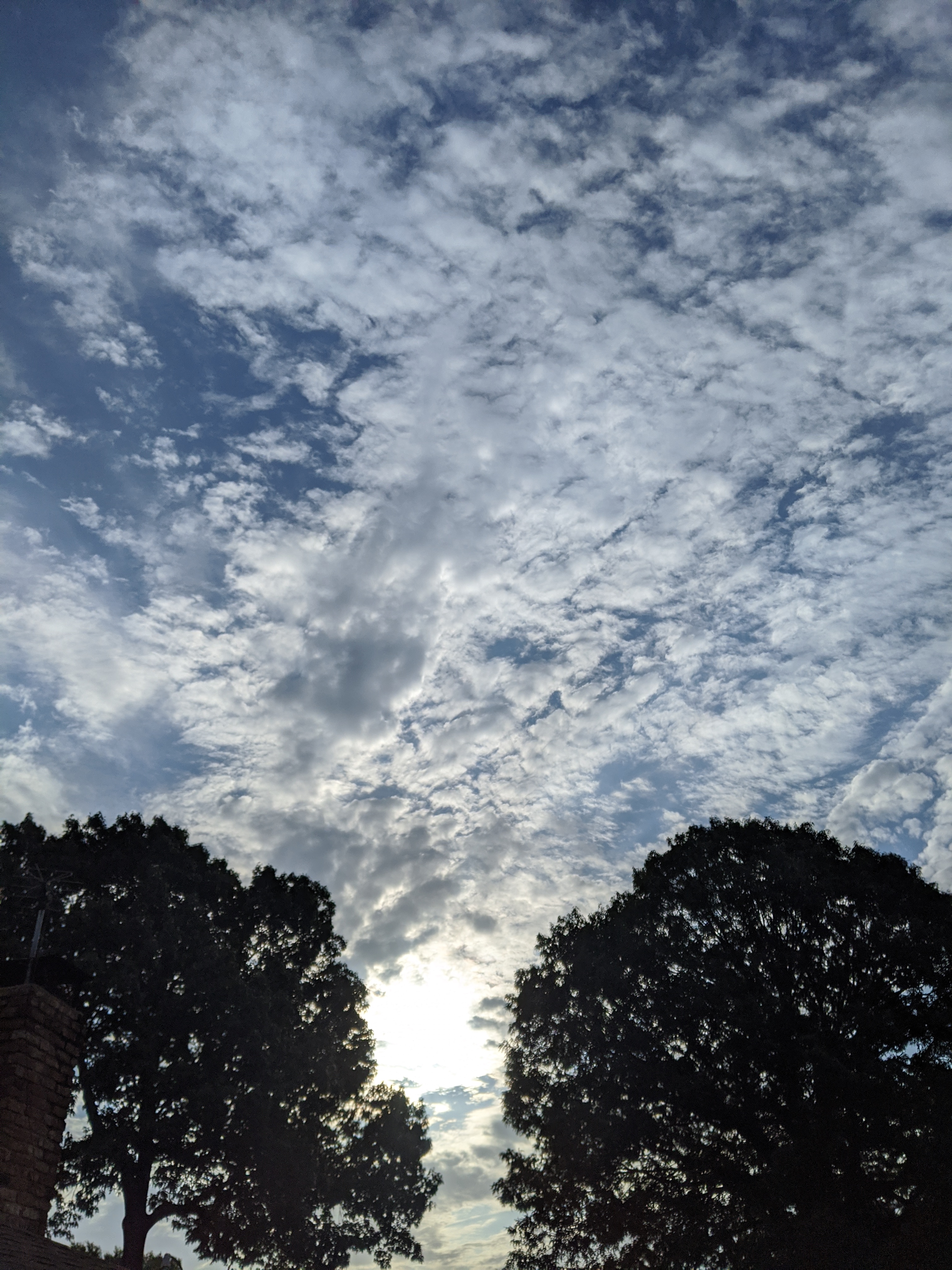 Day_UsedOnBlog20200731